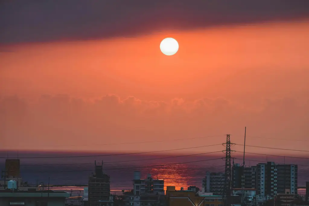 日本親子遊最佳去處大公開!精選熱門景點,打造難忘回憶