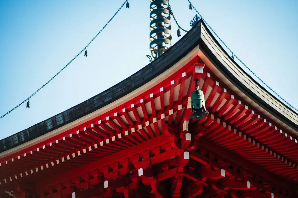 桃園親子景點大搜查！玩樂不無聊，桃園景點好所在